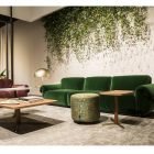 Green velvet sofa with soft cushions and two matching bolsters.